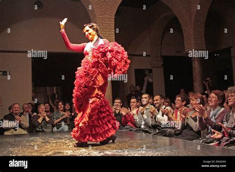 Javier Bardem's Passionate Flamenco Performance Ignites Seville! A Night of Rhythmic Fury and Unexpected Surprises